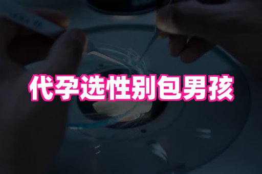 深圳助孕网站 1