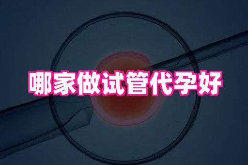 深圳助孕网站 3